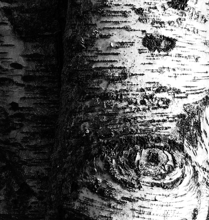 The Eye