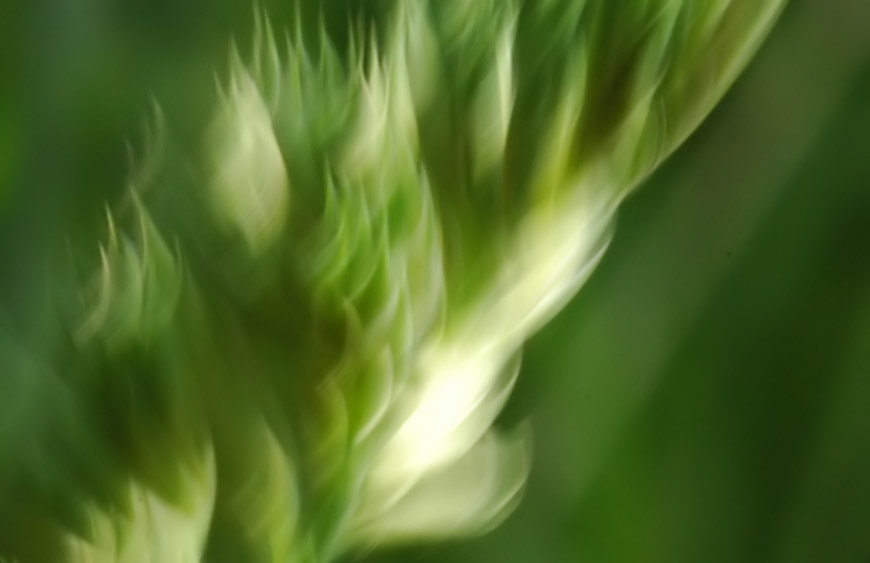 Abstract