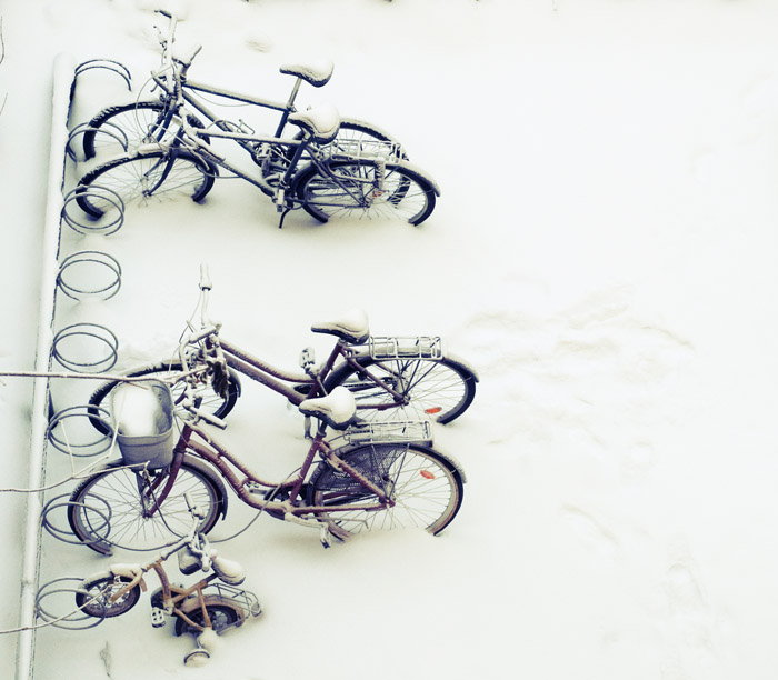 The Long Winter