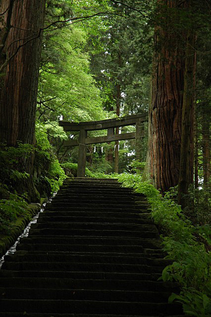Green gate