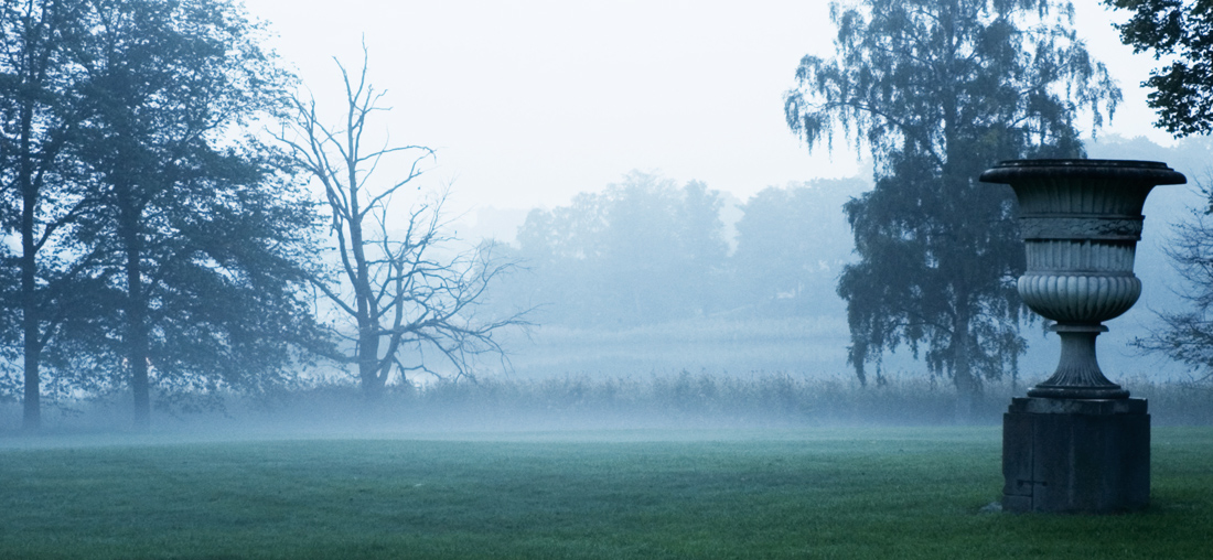 Morning mist