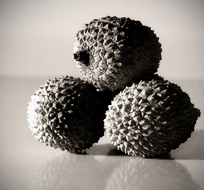 Lychee