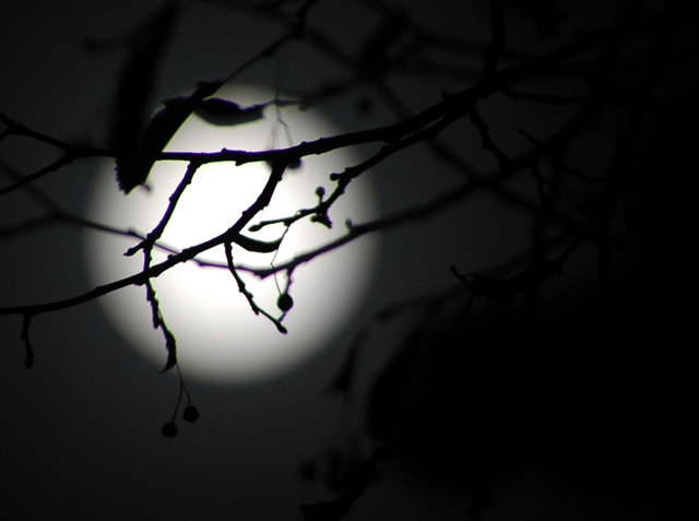 The moon