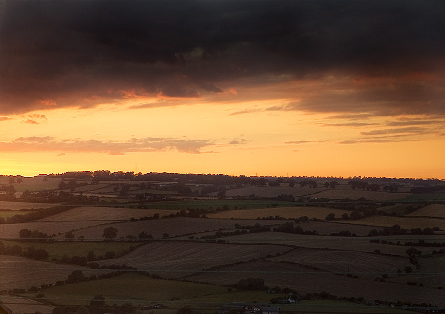 Field in Sunset