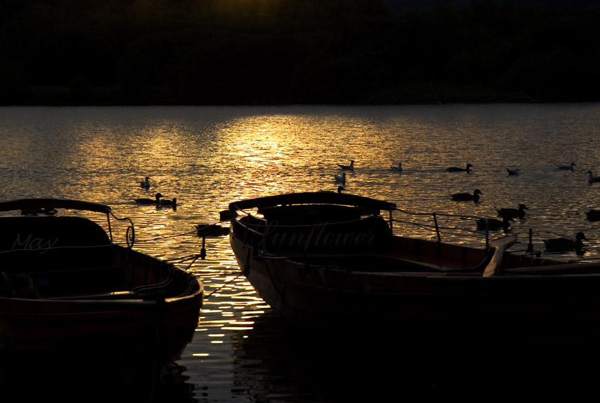 Rowing boats