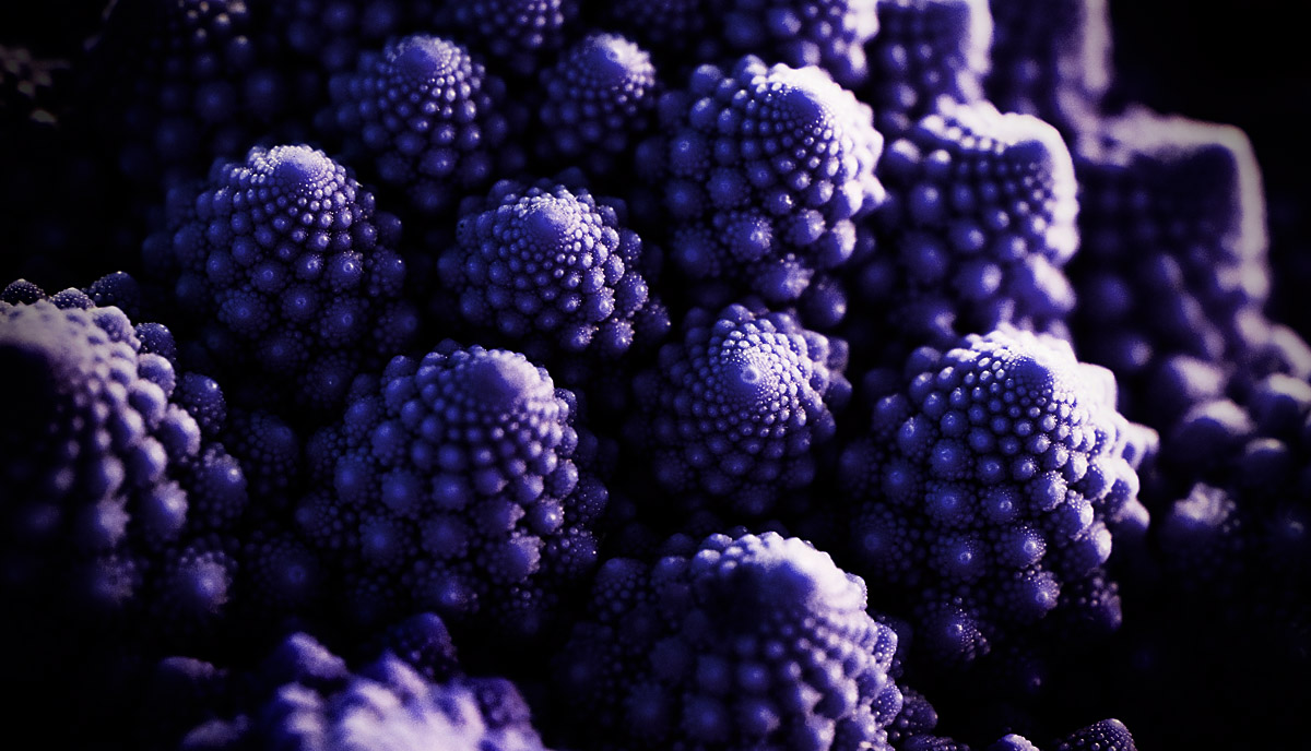 Romanesco broccoli
